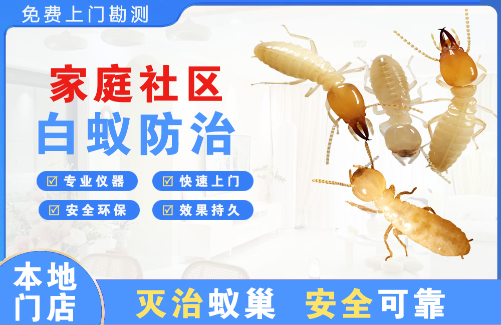 荆门家庭社区白蚁防治