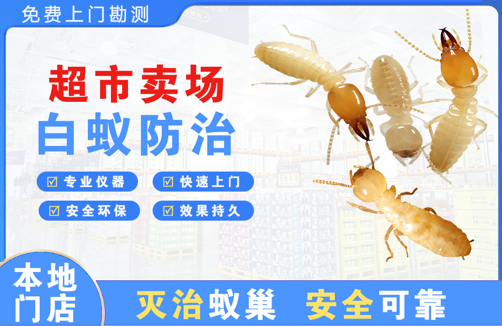荆门超市卖场白蚁防治