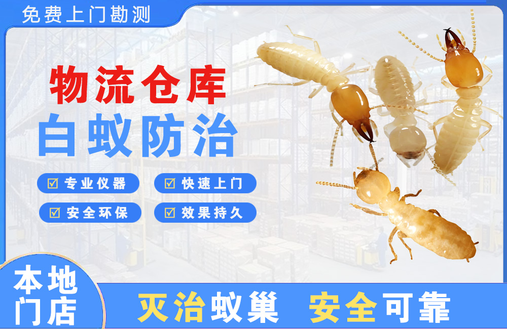 荆门物流仓库白蚁防治