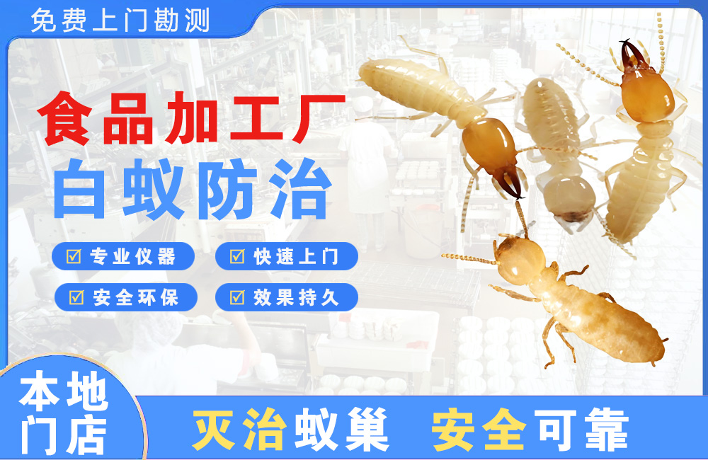 荆门食品加工厂白蚁防治