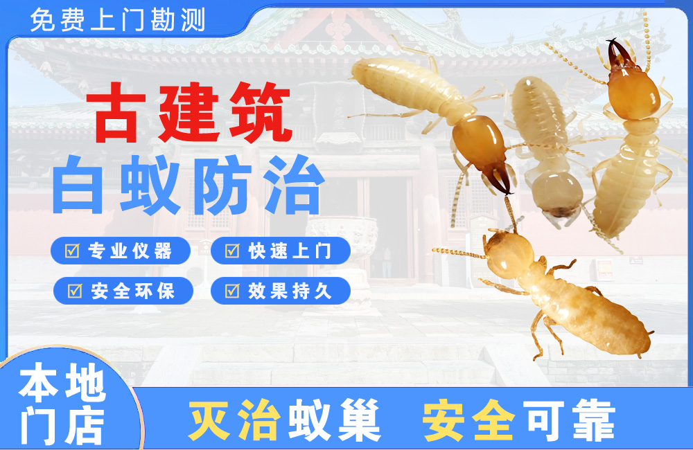 荆门古建筑白蚁防治
