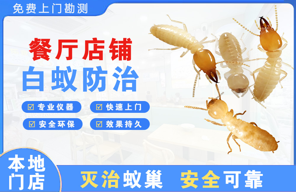 荆门餐厅店铺白蚁防治